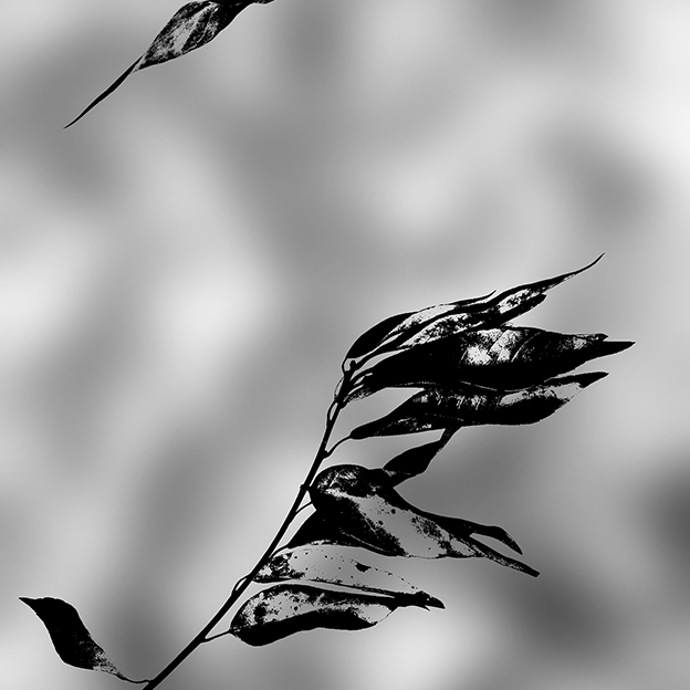 死生 Ⅲ 2017 - Life and-or Death