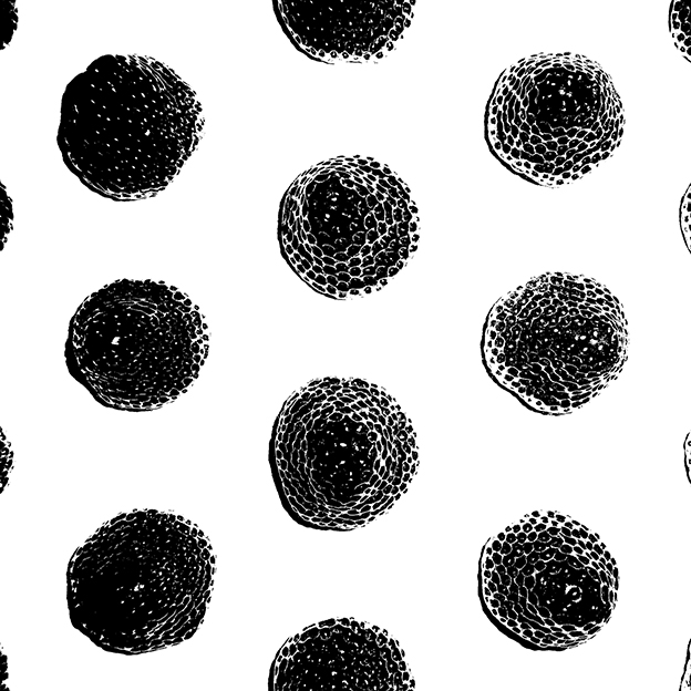 苺の団 Ⅰ 2016 - Strawberry Dots